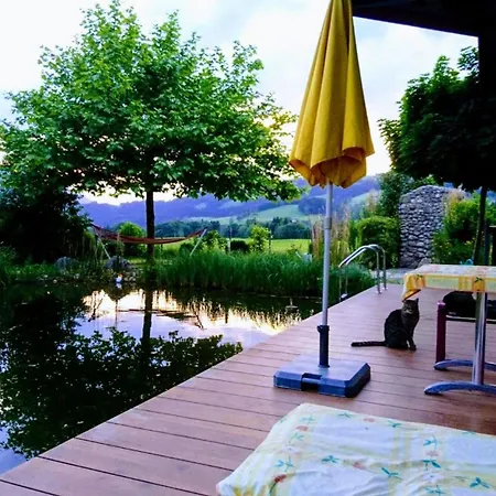 Charming Guest In Nature, Comfort, And Adventure Affittacamere *